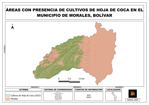 Areas coca 